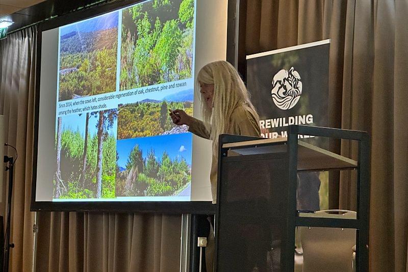 Lucy Rees - Pottoka - rewilding